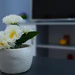 Dom wakacyjny хаджиеви Ognianowo