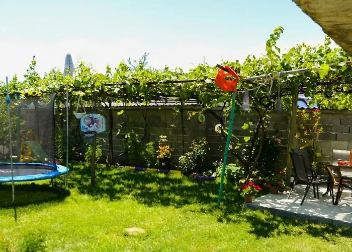 хаджиеви * Огняново